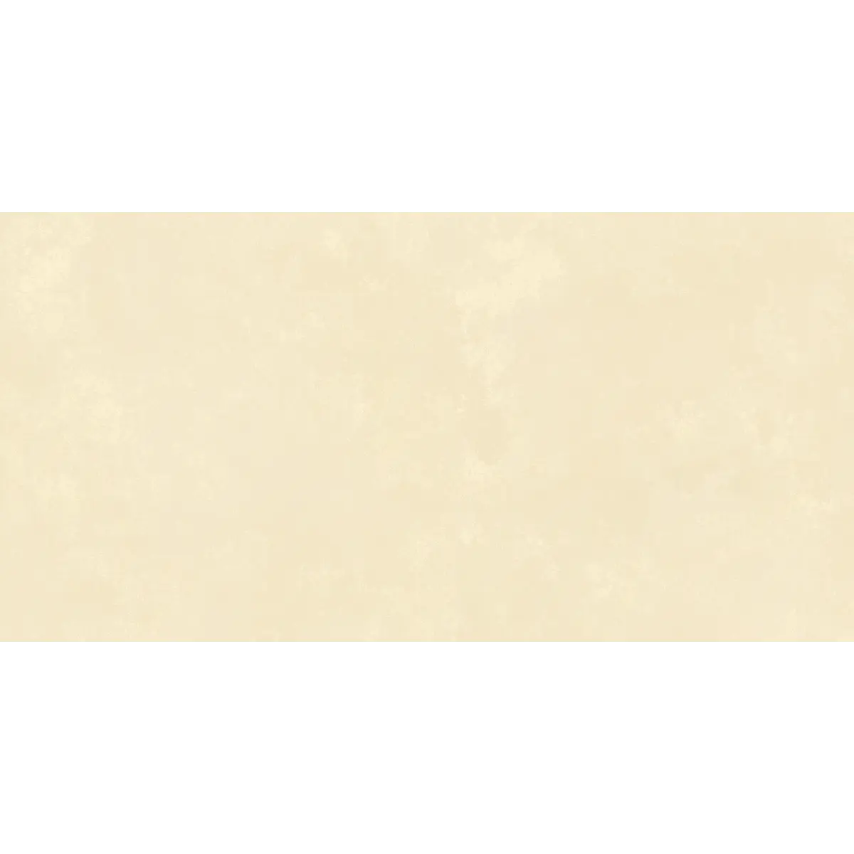 Cerámico Stage Abalon