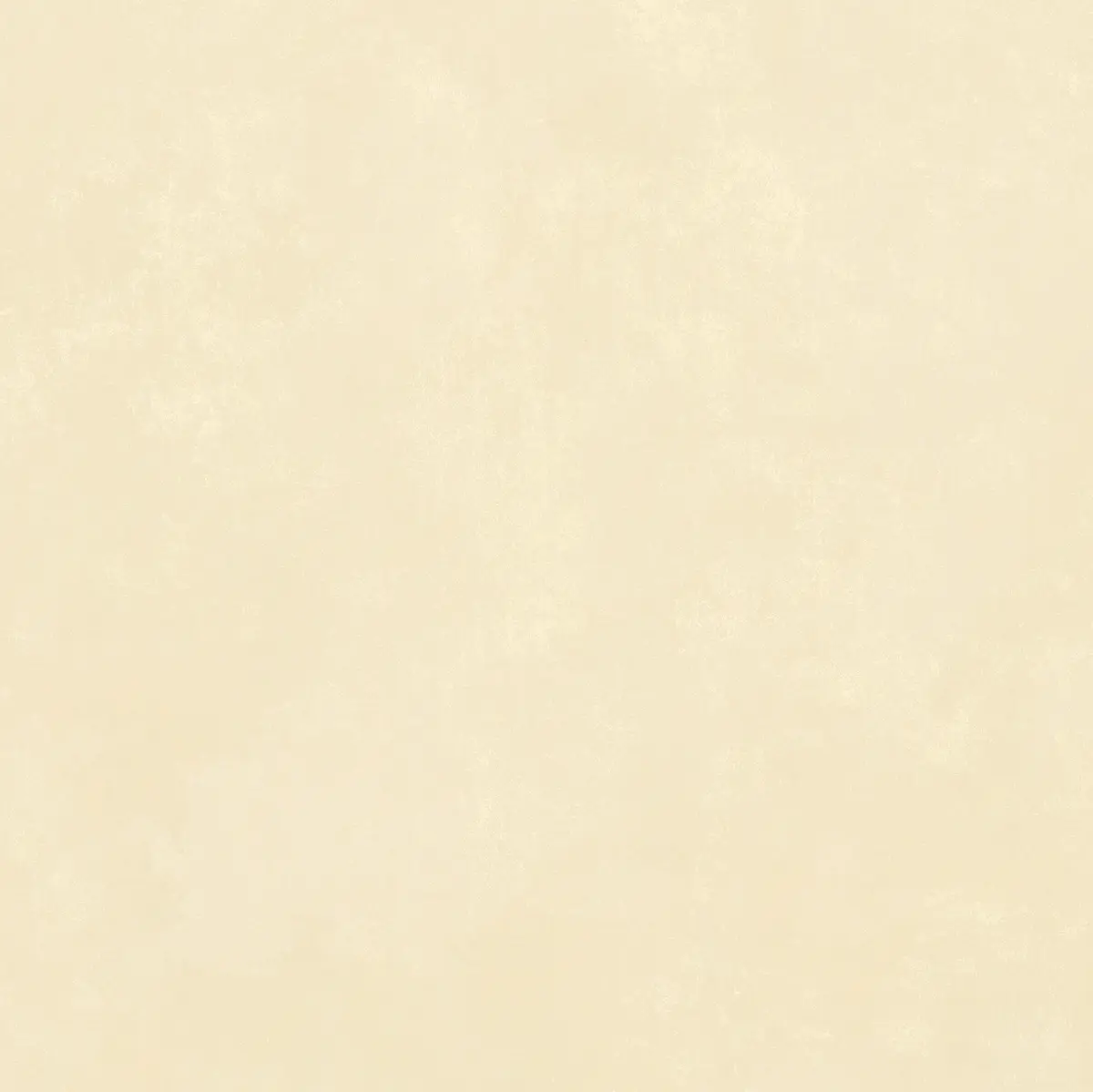 Cerámico STAGE ABALON 46X46