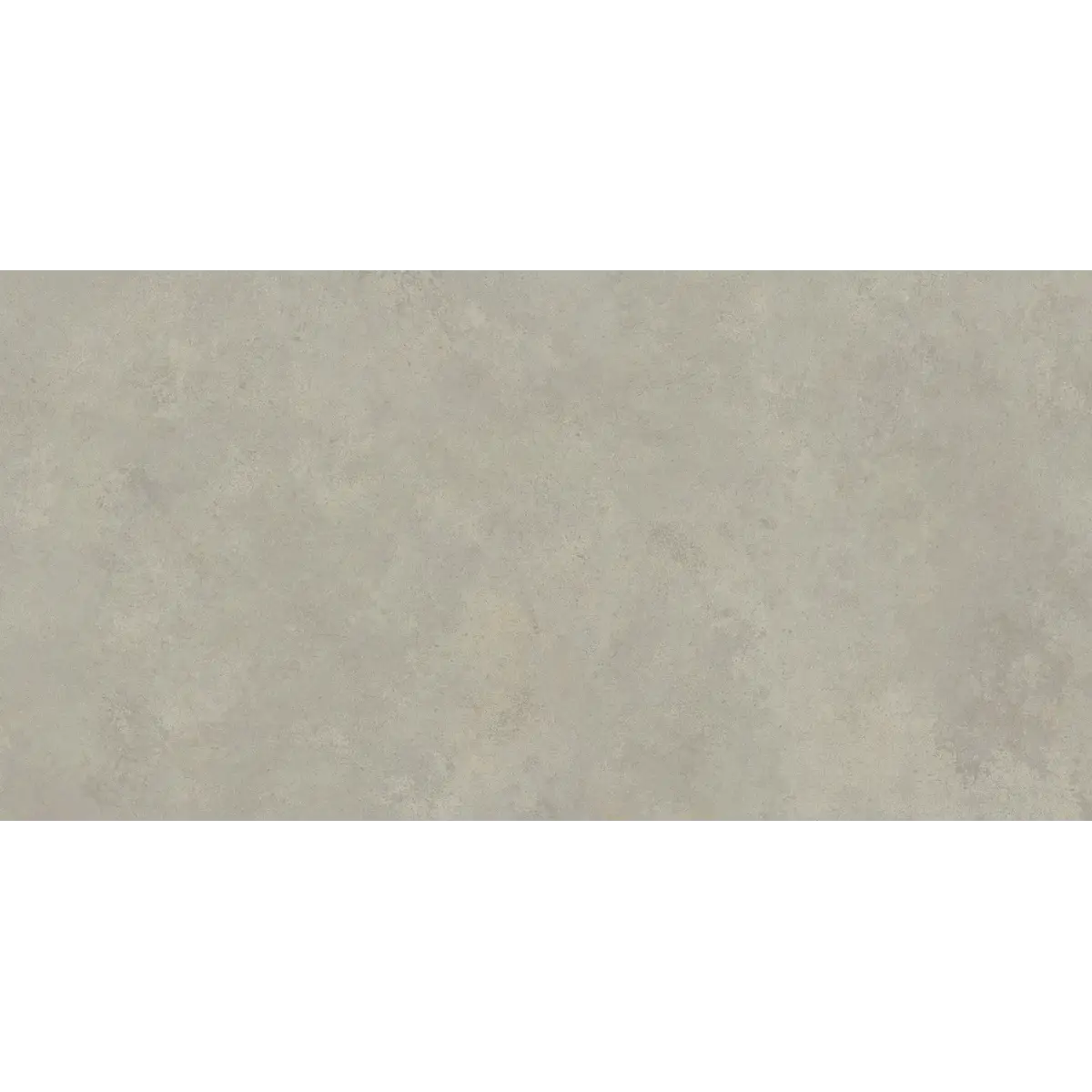 902388_C2